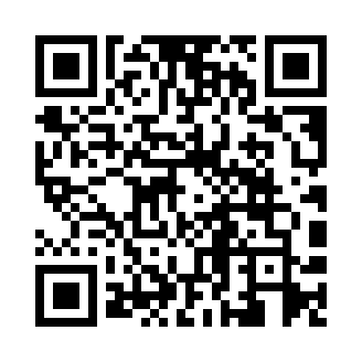 QR لینک مطلب از اردبیل تا مانوین؛ روایت خانواده‌ای که فرش را با خلاقیت گره می‌زند
